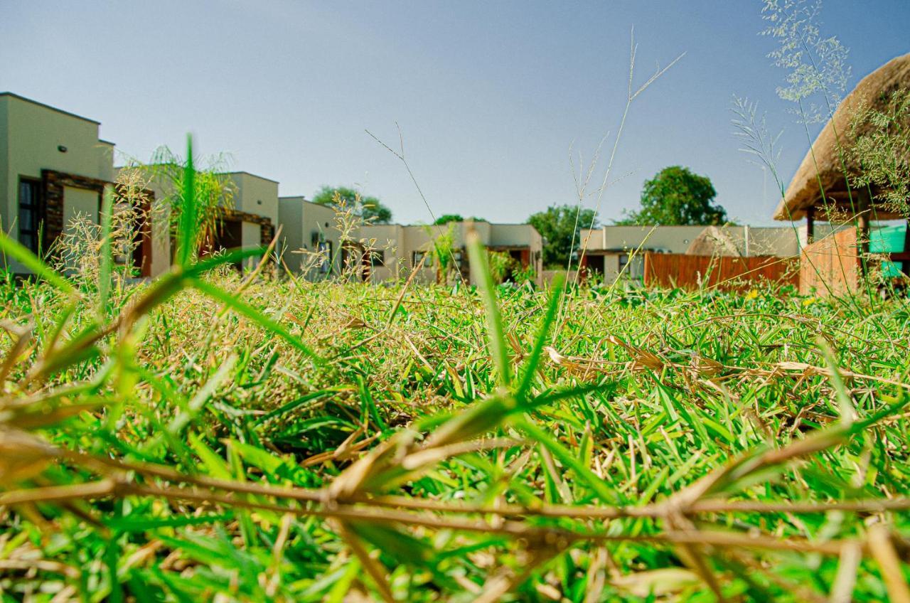 Nexovant Furnished Apartments Maun Exterior photo